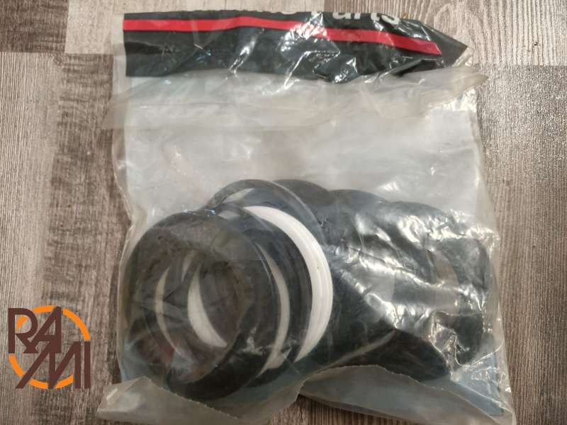 SEAL KIT S301673 CASE (NEW)